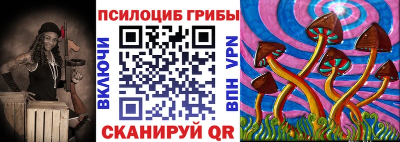 Псилоцибиновые грибы Cubensis Купить Химки