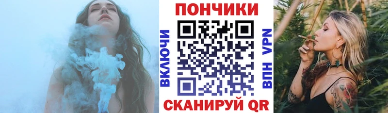 Купить закладки  Химки  Бошки марихуана OG Kush 